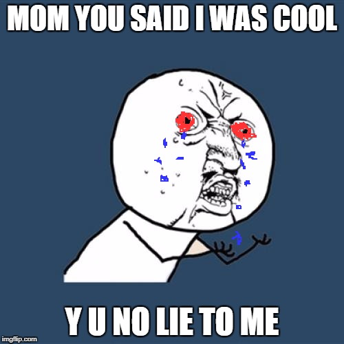 Y U No Meme | MOM YOU SAID I WAS COOL; Y U NO LIE TO ME | image tagged in memes,y u no | made w/ Imgflip meme maker