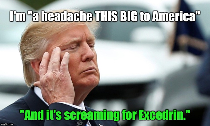 Trump: A Nation's Persistent Migraine, That Just Won't Go Away | I'm "a headache THIS BIG to America"; "And it's screaming for Excedrin." | image tagged in memes,donald trump,fail,president | made w/ Imgflip meme maker