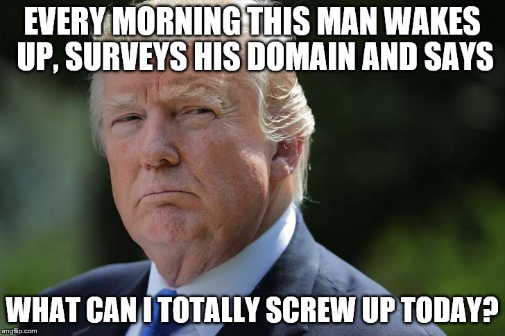 But it will be the best job of screwing up anybody could ever do, cuz he's the best! | EVERY MORNING THIS MAN WAKES UP, SURVEYS HIS DOMAIN AND SAYS; WHAT CAN I TOTALLY SCREW UP TODAY? | image tagged in donald trump is an idiot,donald trump | made w/ Imgflip meme maker