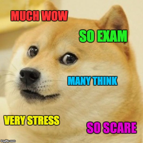 Doge Meme | MUCH WOW; SO EXAM; MANY THINK; VERY STRESS; SO SCARE | image tagged in memes,doge | made w/ Imgflip meme maker