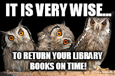 Library Owls | IT IS VERY WISE... TO RETURN YOUR LIBRARY BOOKS ON TIME! | image tagged in owls | made w/ Imgflip meme maker