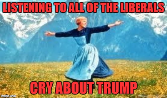 LISTENING TO ALL OF THE LIBERALS CRY ABOUT TRUMP | made w/ Imgflip meme maker