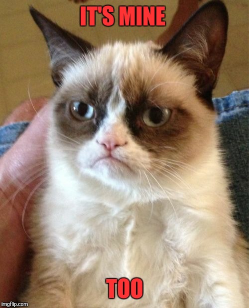 Grumpy Cat Meme | IT'S MINE TOO | image tagged in memes,grumpy cat | made w/ Imgflip meme maker