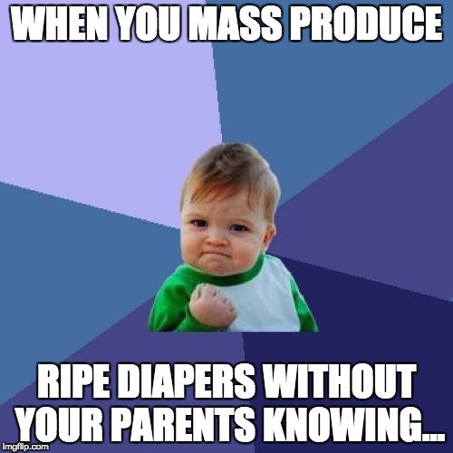 Success Kid | WHEN YOU MASS PRODUCE; RIPE DIAPERS WITHOUT YOUR PARENTS KNOWING... | image tagged in memes,success kid | made w/ Imgflip meme maker