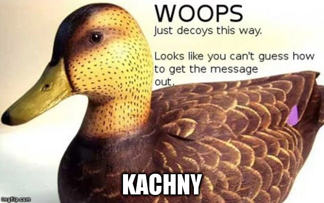 cicada duck | KACHNY | image tagged in cicada duck | made w/ Imgflip meme maker