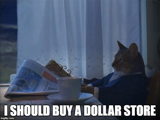 i should cat | I SHOULD BUY A DOLLAR STORE | image tagged in i should cat | made w/ Imgflip meme maker