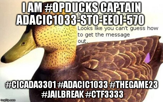cicada duck | I AM #OPDUCKS CAPTAIN ADACIC1033-STO-EEOI-570; #CICADA3301 #ADACIC1033 #THEGAME23 #JAILBREAK #CTF3333 | image tagged in cicada duck | made w/ Imgflip meme maker