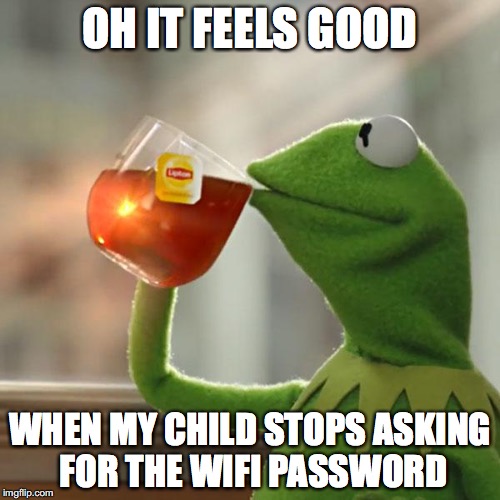 But That's None Of My Business Meme | OH IT FEELS GOOD; WHEN MY CHILD STOPS ASKING FOR THE WIFI PASSWORD | image tagged in memes,but thats none of my business,kermit the frog | made w/ Imgflip meme maker