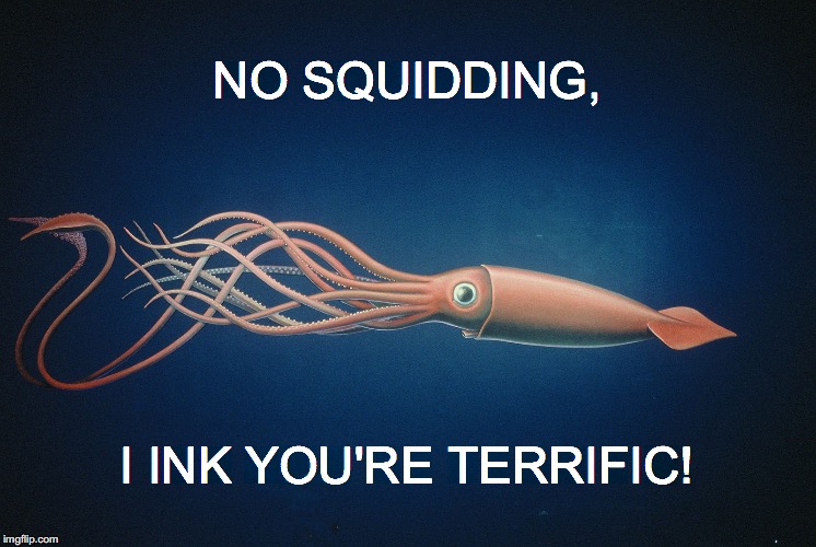 NO SQUIDDING, I INK YOU'RE TERRIFIC! | made w/ Imgflip meme maker