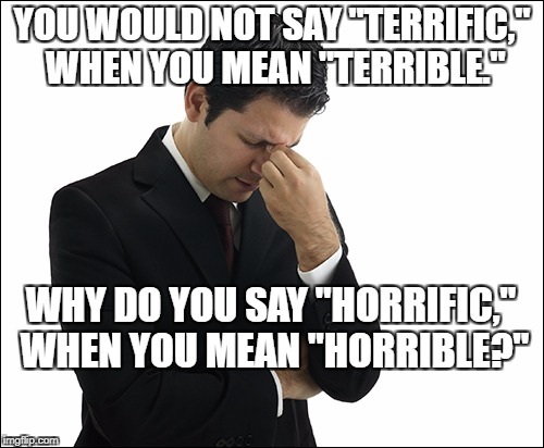 Skiles Confusion | YOU WOULD NOT SAY "TERRIFIC," WHEN YOU MEAN "TERRIBLE."; WHY DO YOU SAY "HORRIFIC," WHEN YOU MEAN "HORRIBLE?" | image tagged in skiles confusion | made w/ Imgflip meme maker