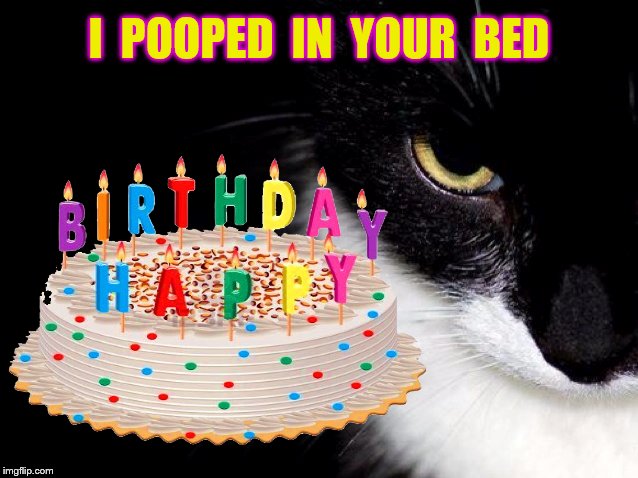 I  POOPED  IN  YOUR  BED | made w/ Imgflip meme maker