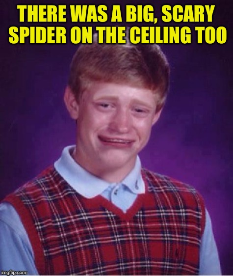 THERE WAS A BIG, SCARY SPIDER ON THE CEILING TOO | made w/ Imgflip meme maker