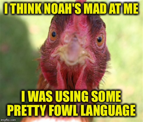 I THINK NOAH'S MAD AT ME I WAS USING SOME PRETTY FOWL LANGUAGE | made w/ Imgflip meme maker