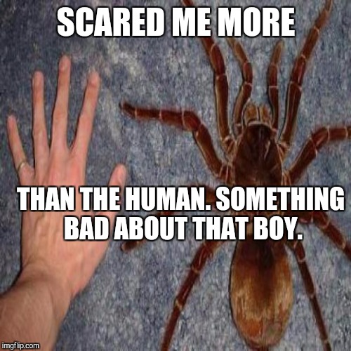 SCARED ME MORE THAN THE HUMAN. SOMETHING BAD ABOUT THAT BOY. | made w/ Imgflip meme maker