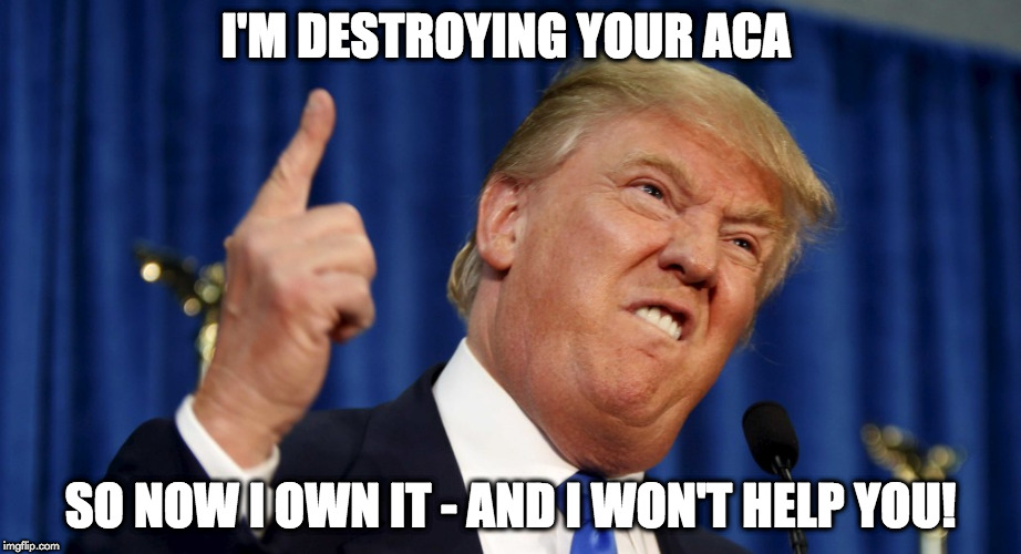Angry trump | I'M DESTROYING YOUR ACA; SO NOW I OWN IT - AND I WON'T HELP YOU! | image tagged in angry trump | made w/ Imgflip meme maker
