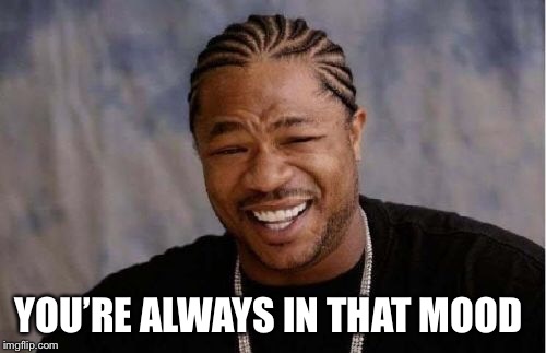 Yo Dawg Heard You Meme | YOU’RE ALWAYS IN THAT MOOD | image tagged in memes,yo dawg heard you | made w/ Imgflip meme maker