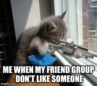 CatSniper | ME WHEN MY FRIEND GROUP DON'T LIKE SOMEONE | image tagged in catsniper | made w/ Imgflip meme maker