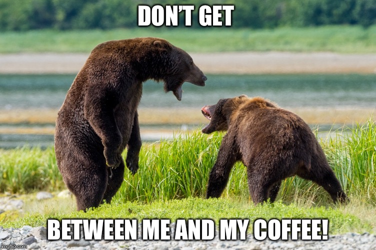 Don’t do it! | DON’T GET; BETWEEN ME AND MY COFFEE! | image tagged in coffee addict | made w/ Imgflip meme maker