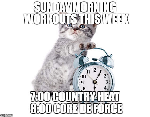 Kitty with alarm clock | SUNDAY MORNING WORKOUTS THIS WEEK; 7:00 COUNTRY HEAT 8:00 CORE DE FORCE | image tagged in kitty with alarm clock | made w/ Imgflip meme maker
