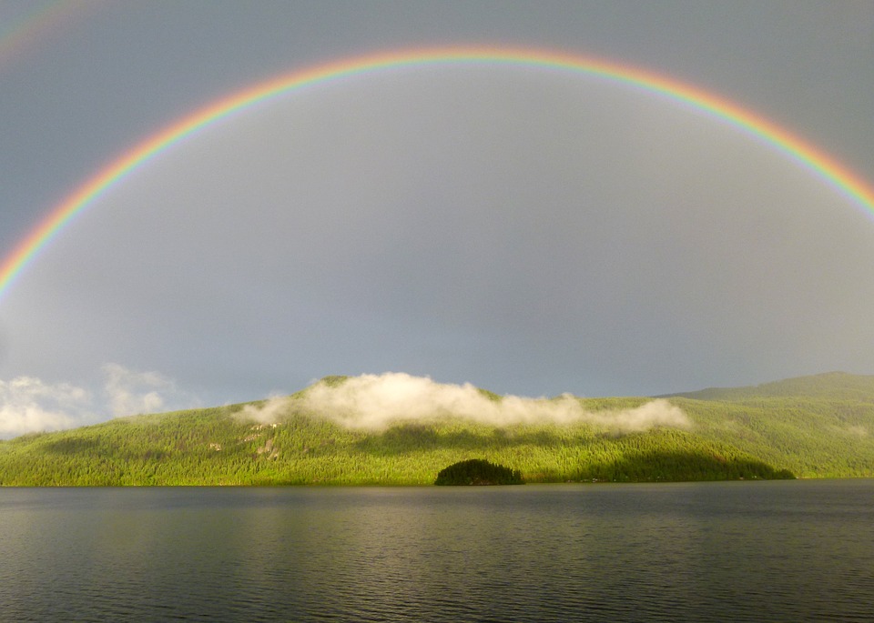 High Quality Rainbow Blank Meme Template