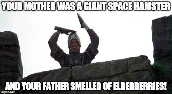Your mother was a giant space hamster, and your father smelled of elderberries! | YOUR MOTHER WAS A GIANT SPACE HAMSTER; AND YOUR FATHER SMELLED OF ELDERBERRIES! | image tagged in monty python  hamster,spelljammer,giant space hamster | made w/ Imgflip meme maker