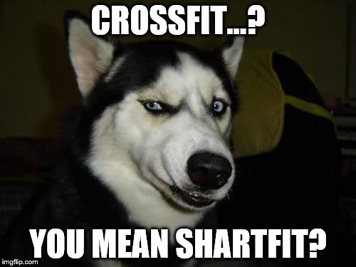 Funny Dog | CROSSFIT...? YOU MEAN SHARTFIT? | image tagged in funny dog | made w/ Imgflip meme maker