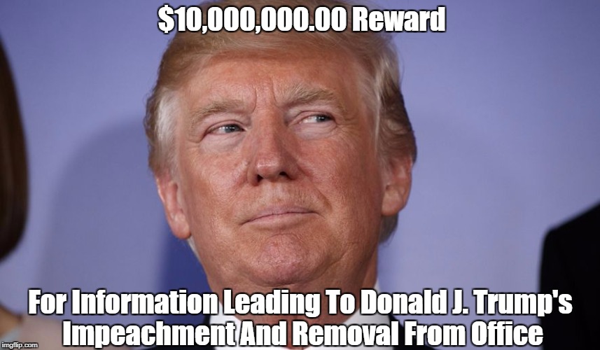"Not Fake News" | $10,000,000.00 Reward; For Information Leading To Donald J. Trump's  Impeachment And Removal From Office | image tagged in deplorable donald,despicable donald,dishonorable donald,devious donald,dishonest donald,despotic donald | made w/ Imgflip meme maker