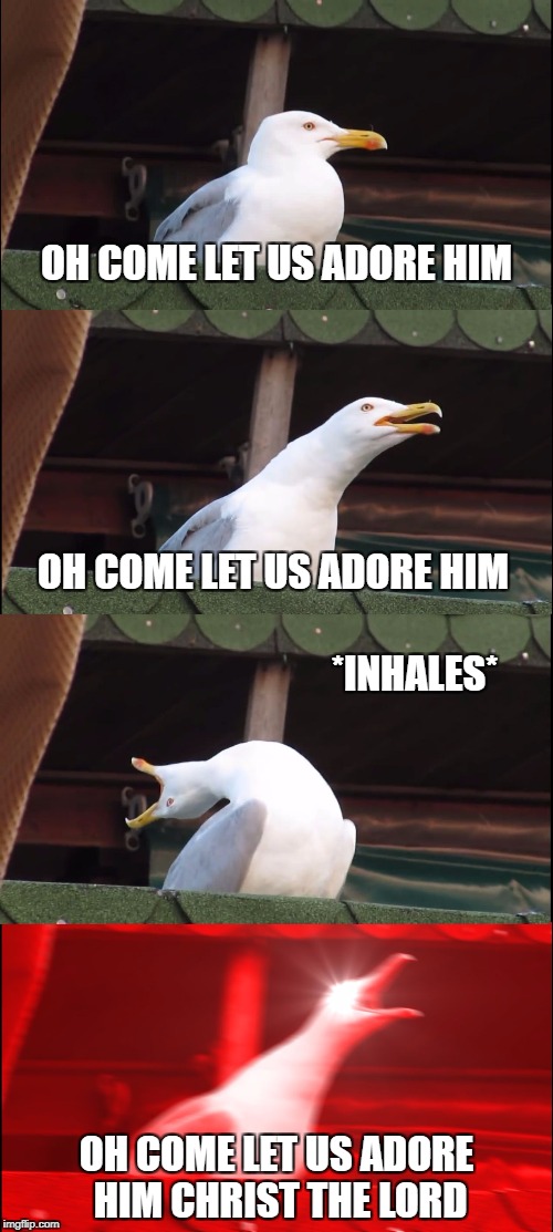 Inhaling Seagull Meme | OH COME LET US ADORE HIM; OH COME LET US ADORE HIM; *INHALES*; OH COME LET US ADORE HIM CHRIST THE LORD | image tagged in inhaling seagull | made w/ Imgflip meme maker