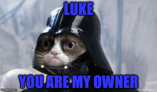 Grumpy Cat Star Wars | LUKE; YOU ARE MY OWNER | image tagged in memes,grumpy cat star wars,grumpy cat | made w/ Imgflip meme maker