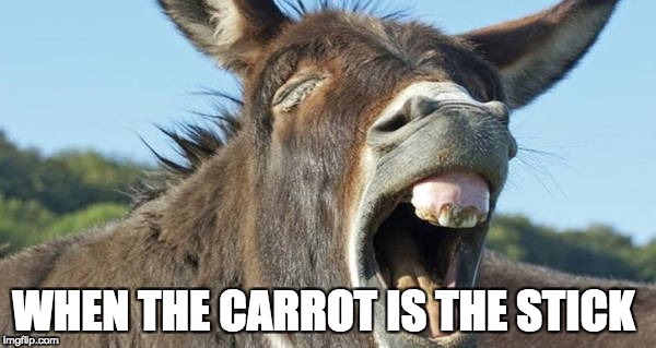WHEN THE CARROT IS THE STICK | image tagged in carrots,donkey,stick,pain,consequences,motivation | made w/ Imgflip meme maker