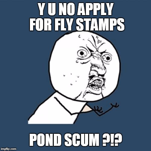Y U No Meme | Y U NO APPLY FOR FLY STAMPS POND SCUM ?!? | image tagged in memes,y u no | made w/ Imgflip meme maker