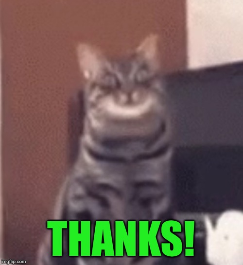 Catnip | THANKS! | image tagged in catnip | made w/ Imgflip meme maker