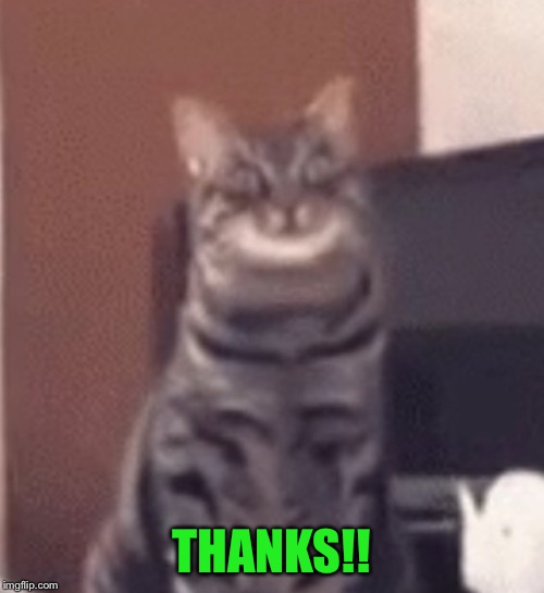 Catnip | THANKS!! | image tagged in catnip | made w/ Imgflip meme maker