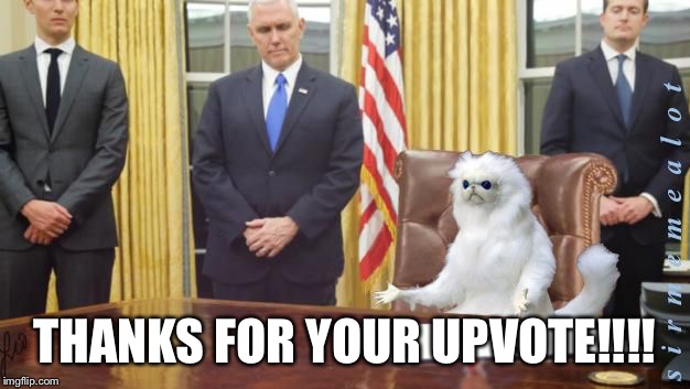 Guardian Cat In Oval Office | THANKS FOR YOUR UPVOTE!!!! | image tagged in guardian cat in oval office | made w/ Imgflip meme maker