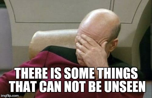 Captain Picard Facepalm Meme | THERE IS SOME THINGS THAT CAN NOT BE UNSEEN | image tagged in memes,captain picard facepalm | made w/ Imgflip meme maker