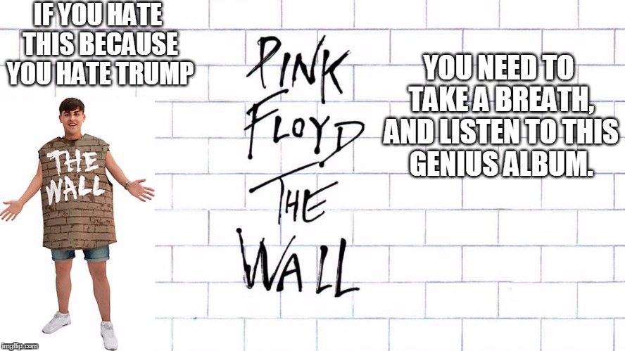 Anti-Trumpers Inundating Party City With Complaints About "The Wall" Costume | IF YOU HATE THIS BECAUSE YOU HATE TRUMP; YOU NEED TO TAKE A BREATH, AND LISTEN TO THIS GENIUS ALBUM. | image tagged in the wall,anti-trump,pink floyd,whiny liberals | made w/ Imgflip meme maker