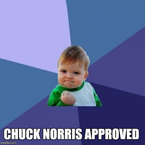 Success Kid Meme | CHUCK NORRIS APPROVED | image tagged in memes,success kid | made w/ Imgflip meme maker