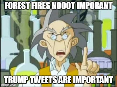 Uncle says not important | FOREST FIRES NOOOT IMPORANT; TRUMP TWEETS ARE IMPORTANT | image tagged in uncle says not important | made w/ Imgflip meme maker