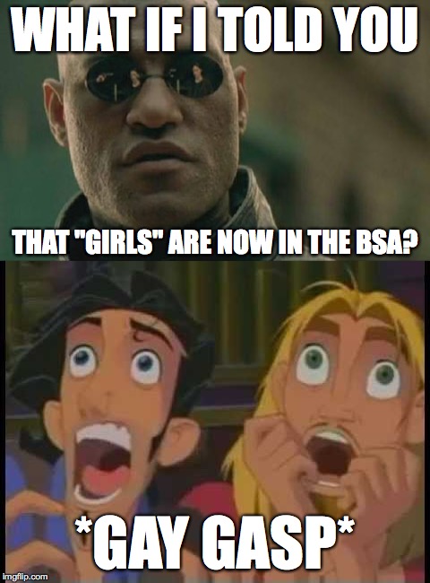 WHAT IF I TOLD YOU... | WHAT IF I TOLD YOU; THAT "GIRLS" ARE NOW IN THE BSA? *GAY GASP* | image tagged in disney,matrix morpheus,matrix,the matrix,boy scouts,memes | made w/ Imgflip meme maker
