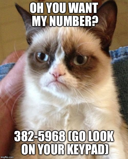 Grumpy Cat Meme | OH YOU WANT MY NUMBER? 382-5968 (GO LOOK ON YOUR KEYPAD) | image tagged in memes,grumpy cat | made w/ Imgflip meme maker