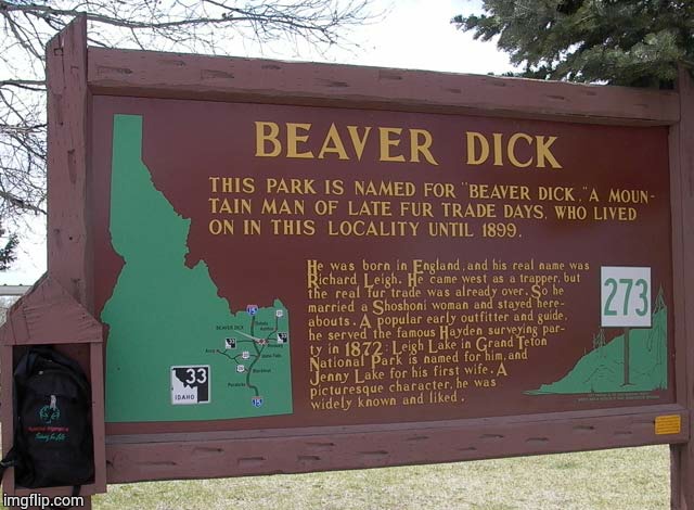 Beaver Dick | image tagged in funny signs,loyalsockatxhamster,smile,fun stuff,lol,beaver | made w/ Imgflip meme maker