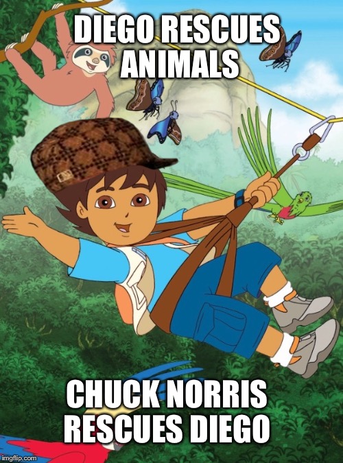 Diego | DIEGO RESCUES ANIMALS CHUCK NORRIS RESCUES DIEGO | image tagged in diego,scumbag | made w/ Imgflip meme maker