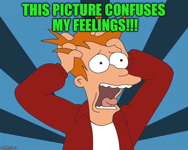 Fry Losing His Mind | THIS PICTURE CONFUSES MY FEELINGS!!! | image tagged in fry losing his mind | made w/ Imgflip meme maker