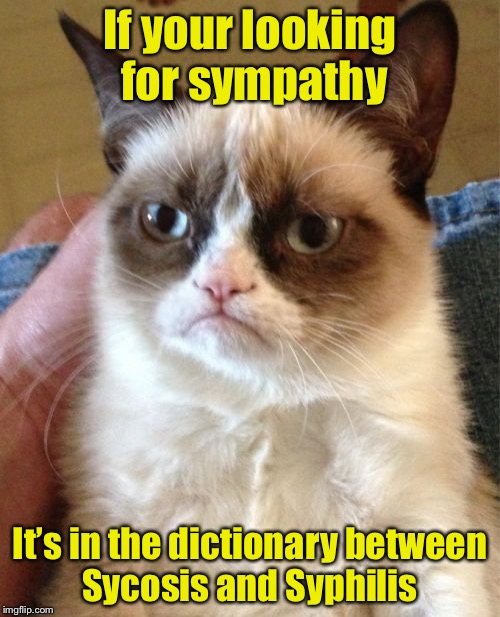 Unsympathetic Cat (For Depressing Meme Week Oct 11-18 A NeverSayMemes Event) | If your looking for sympathy; It’s in the dictionary between Sycosis and Syphilis | image tagged in memes,grumpy cat,sympathy,depressing meme week | made w/ Imgflip meme maker