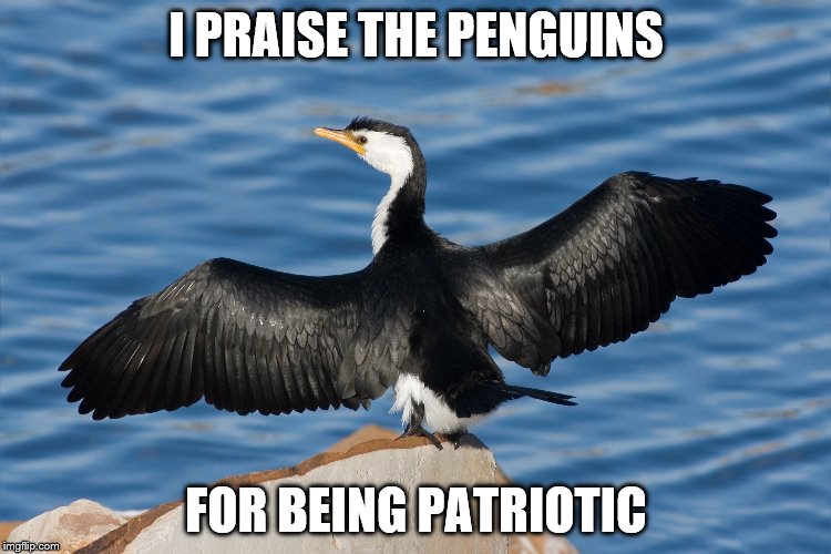 Duckguin | I PRAISE THE PENGUINS; FOR BEING PATRIOTIC | image tagged in duckguin | made w/ Imgflip meme maker