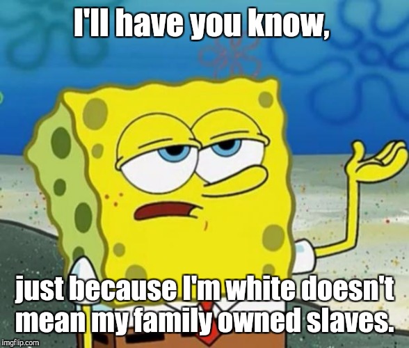 I'll have you know, just because I'm white doesn't mean my family owned slaves. | made w/ Imgflip meme maker