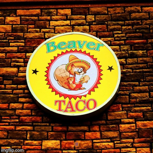 Beaver Taco | . | image tagged in loyalsockatxhamster,beaver,taco,fun stuff,funny signs | made w/ Imgflip meme maker