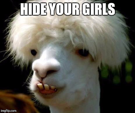Dumbass | HIDE YOUR GIRLS | image tagged in dumbass | made w/ Imgflip meme maker