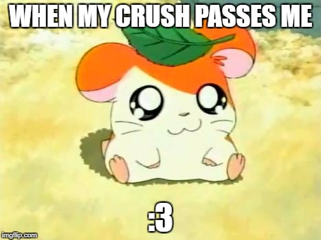 Hamtaro | WHEN MY CRUSH PASSES ME; :3 | image tagged in memes,hamtaro | made w/ Imgflip meme maker