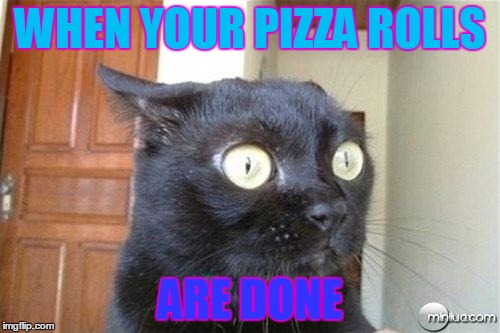 Cats | WHEN YOUR PIZZA ROLLS; ARE DONE | image tagged in cats | made w/ Imgflip meme maker